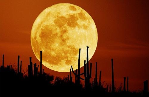 Siêu trăng là gì? Việt Nam sẽ đón Siêu trăng vào thời điểm nào?